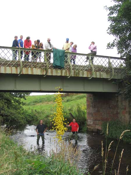 2004 Duck Race