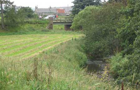 2004 Duck Race